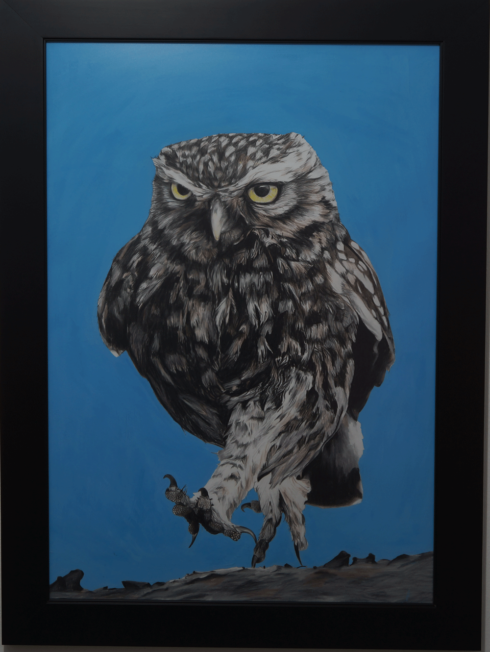 Little Owl painting mixed media by Angus Grant