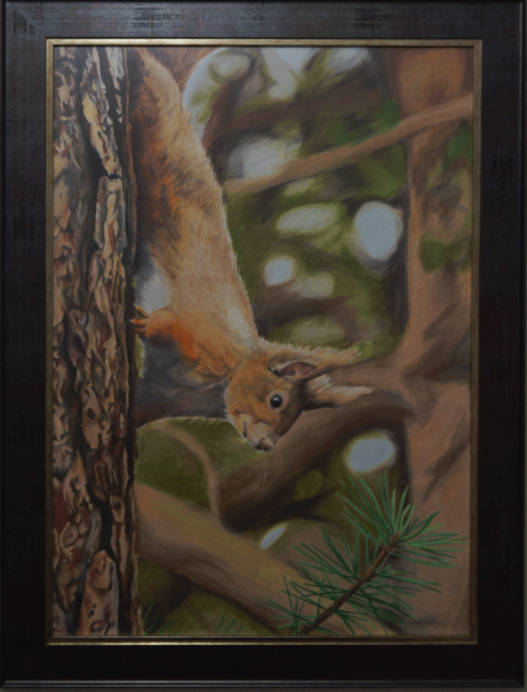 Galleries – Angus Grant Art