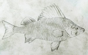 Angus grant fine art print 