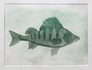 Angus grant fine art print Perch
