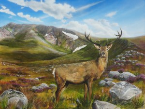 Highland wildlife art Stag