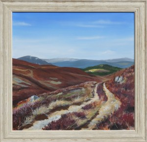 A track leading across a heather hillside