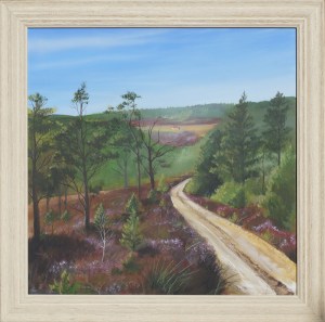 A track through the trees