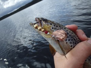 Trout, Lure, Loch morlich