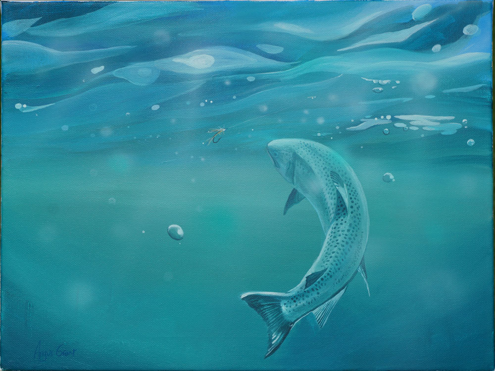 Painting of a trout swimming towards a lure