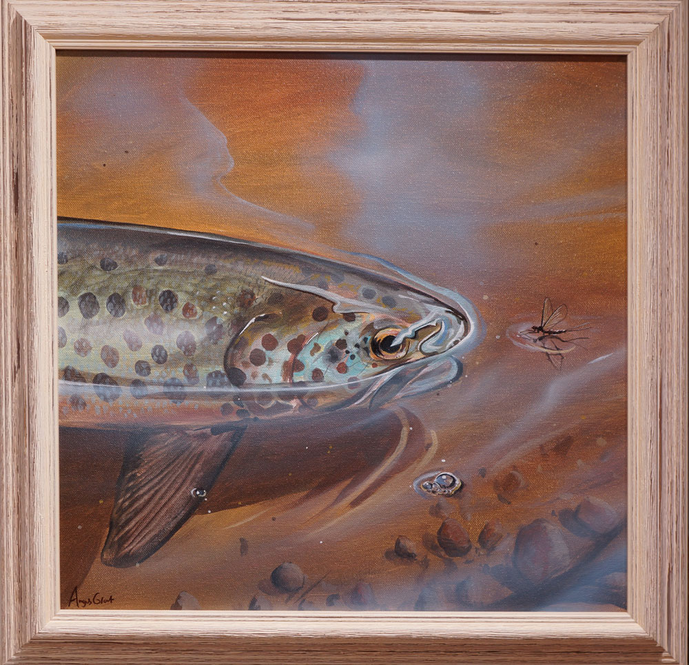 Mayfly Rise by Angus Grant